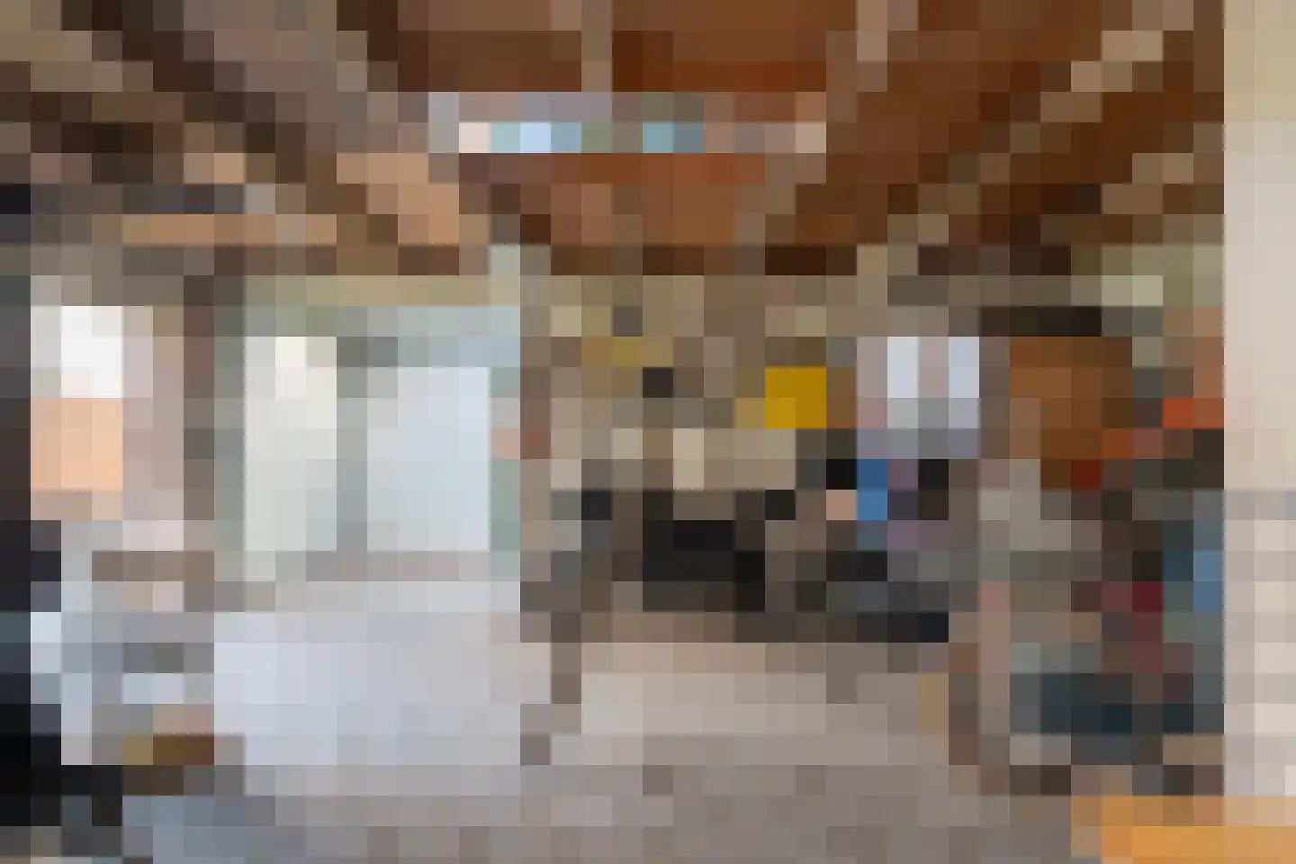 Molenstraat 57 Zoetermeer thumbnail 30