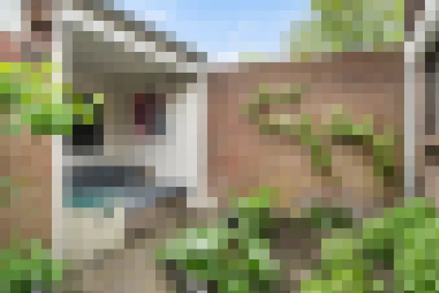 Molenstraat 57 Zoetermeer thumbnail 31