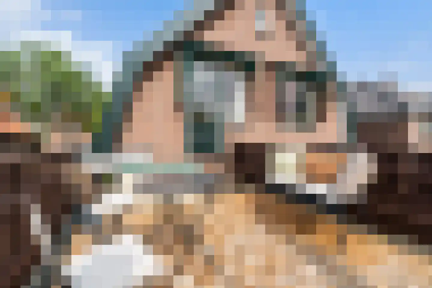 Molenstraat 57 Zoetermeer thumbnail 38