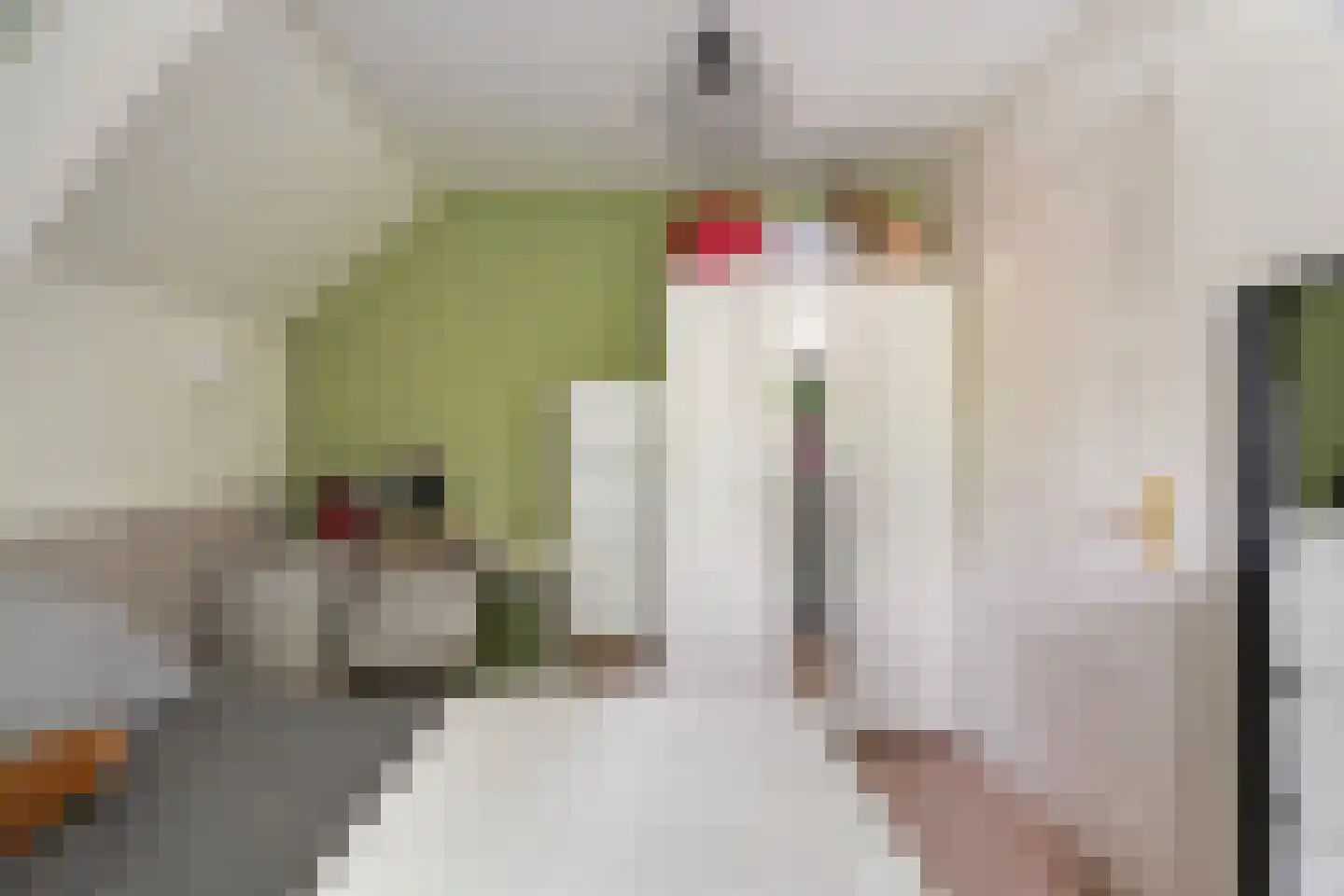Molenstraat 57 Zoetermeer thumbnail 41