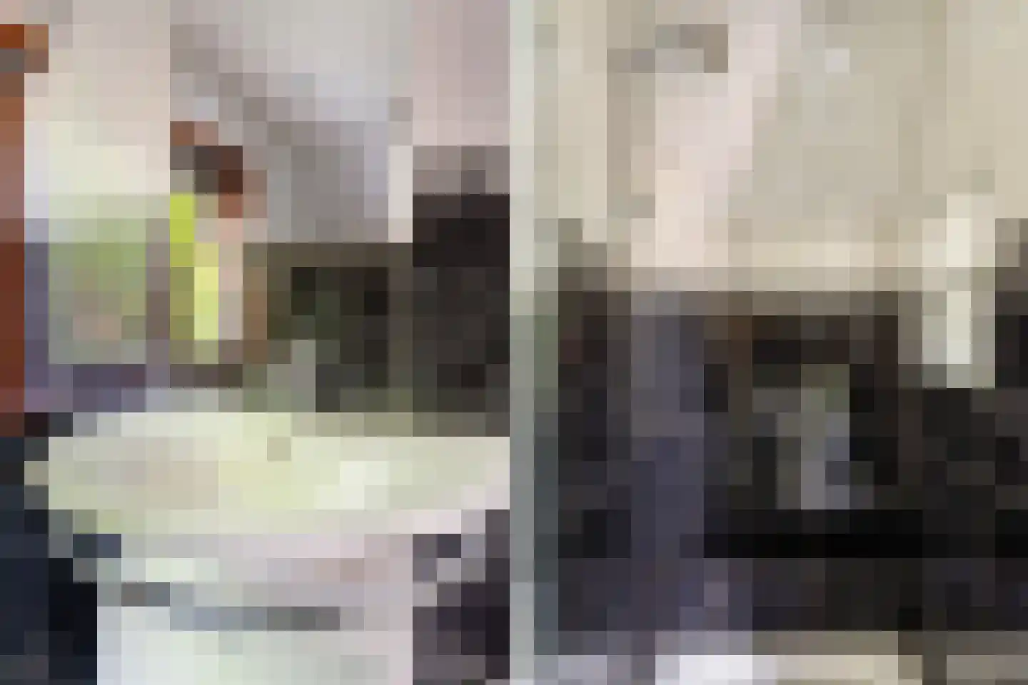 Molenstraat 57 Zoetermeer thumbnail 44