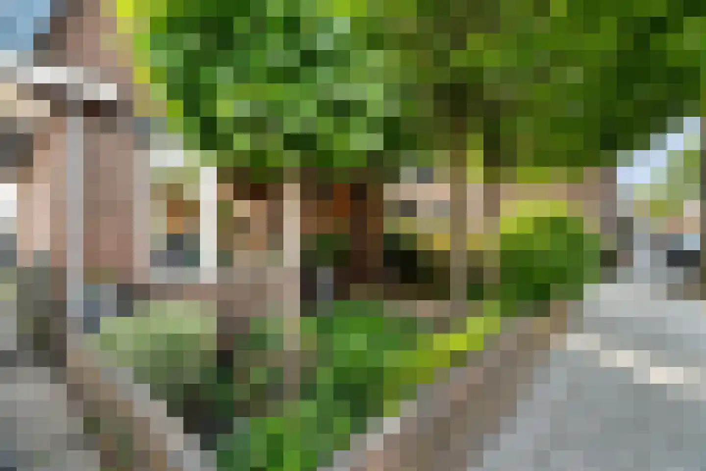 Molenstraat 57 Zoetermeer thumbnail 53