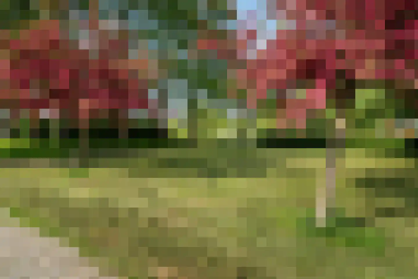 Molenstraat 57 Zoetermeer thumbnail 55