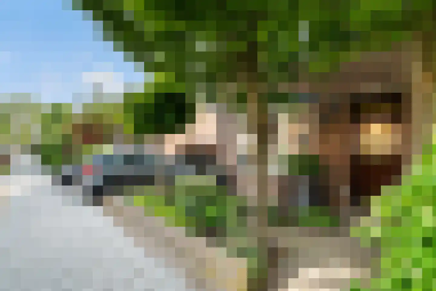Molenstraat 57 Zoetermeer thumbnail 9