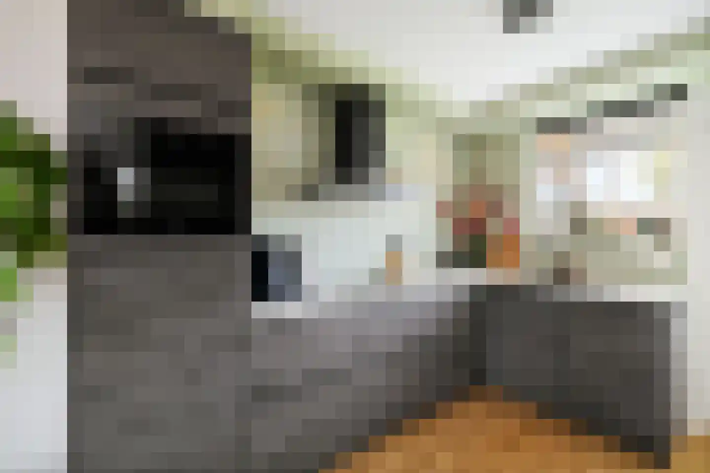 Molenstraat 58 A Twello thumbnail 11