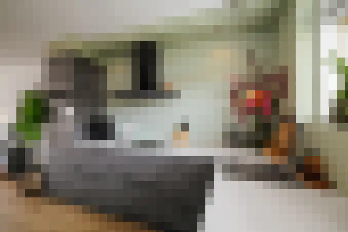Molenstraat 58 A Twello thumbnail 12