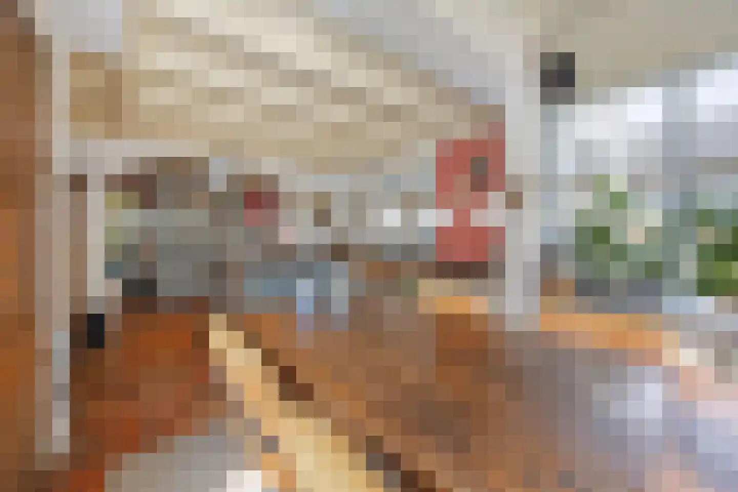 Molenstraat 58 Boven-Leeuwen thumbnail 25