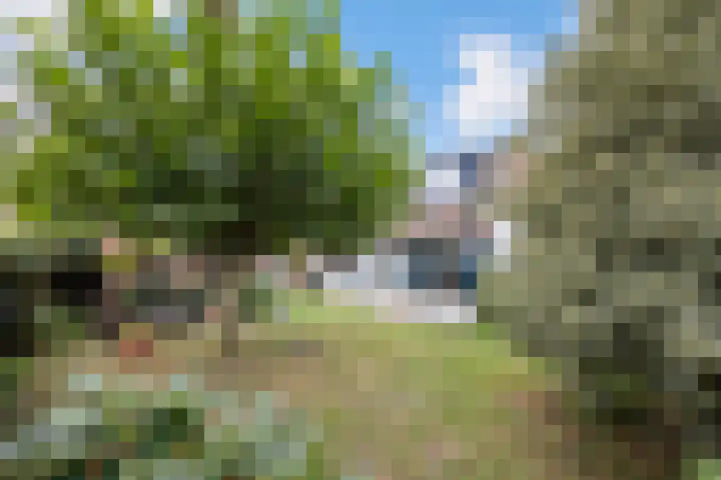 Molenstraat 58 Boven-Leeuwen thumbnail 56