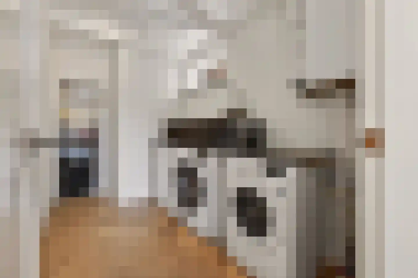 Molenstraat 58 Den Burg thumbnail 15