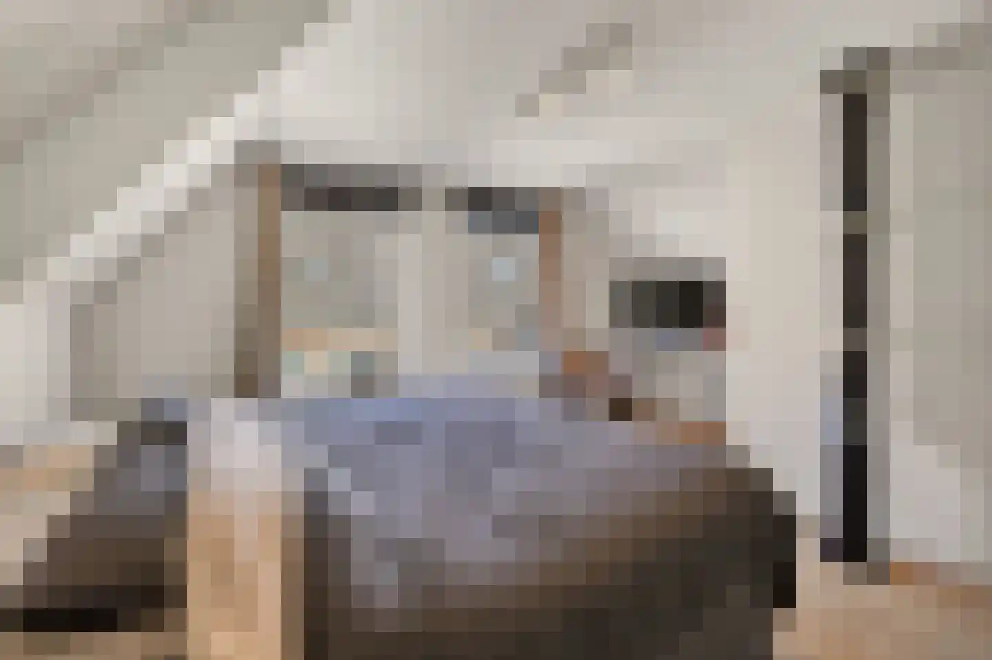 Molenstraat 58 Den Burg thumbnail 20