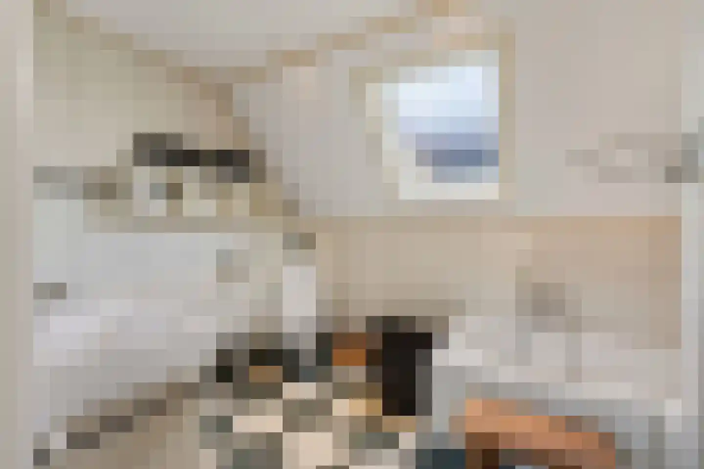 Molenstraat 58 Den Burg thumbnail 24