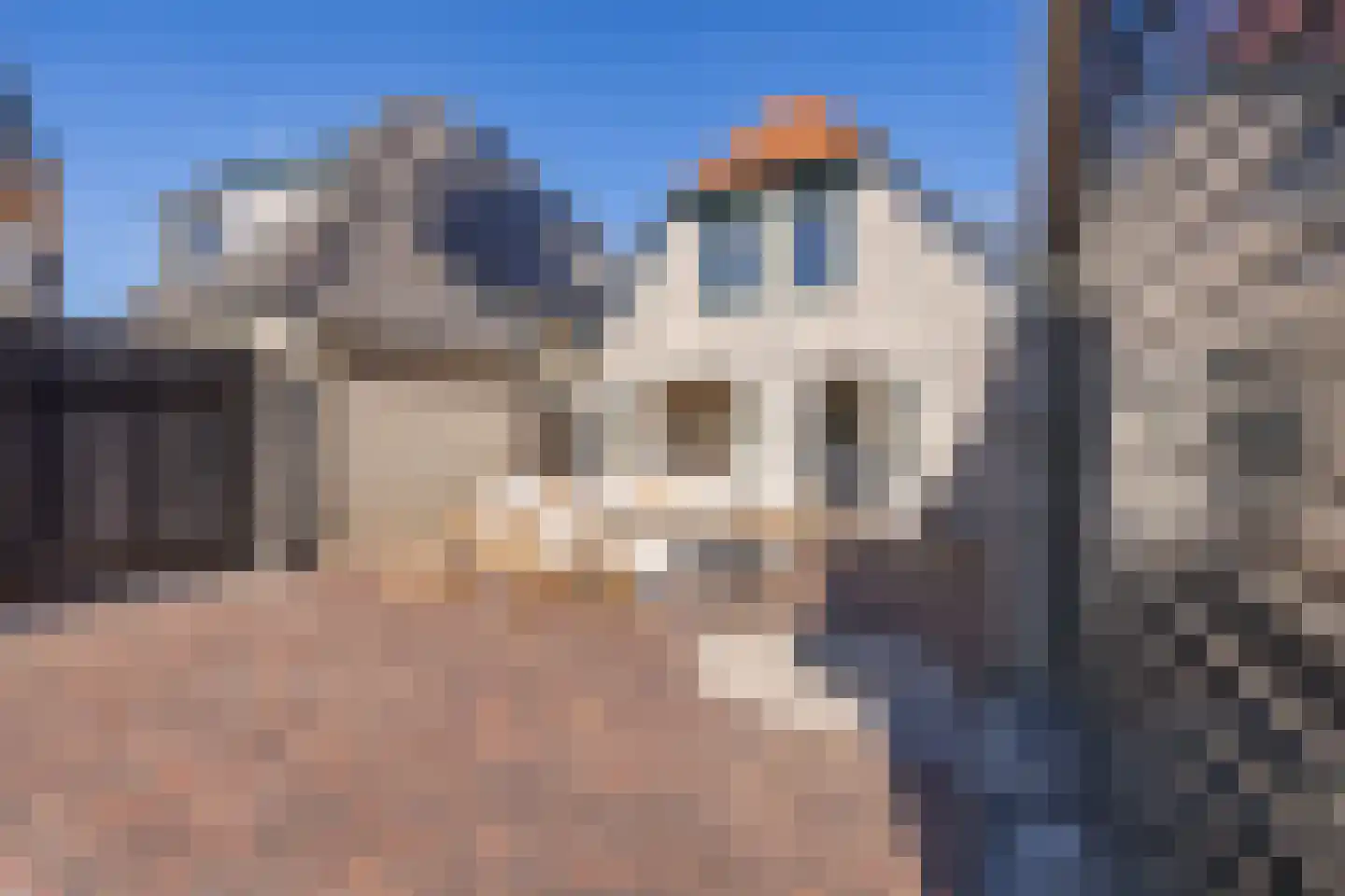 Molenstraat 58 Den Burg thumbnail 27