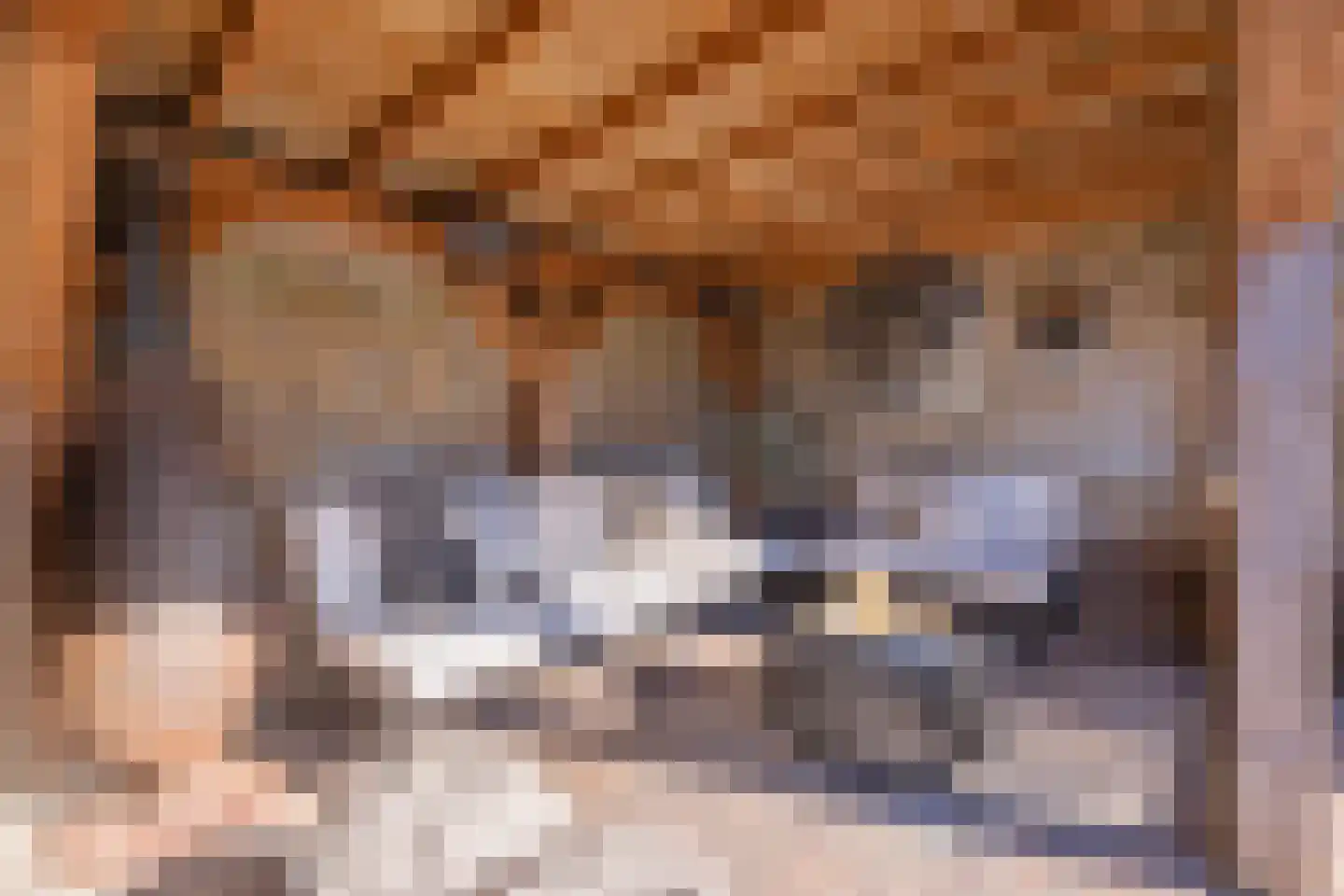Molenstraat 58 Den Burg thumbnail 33