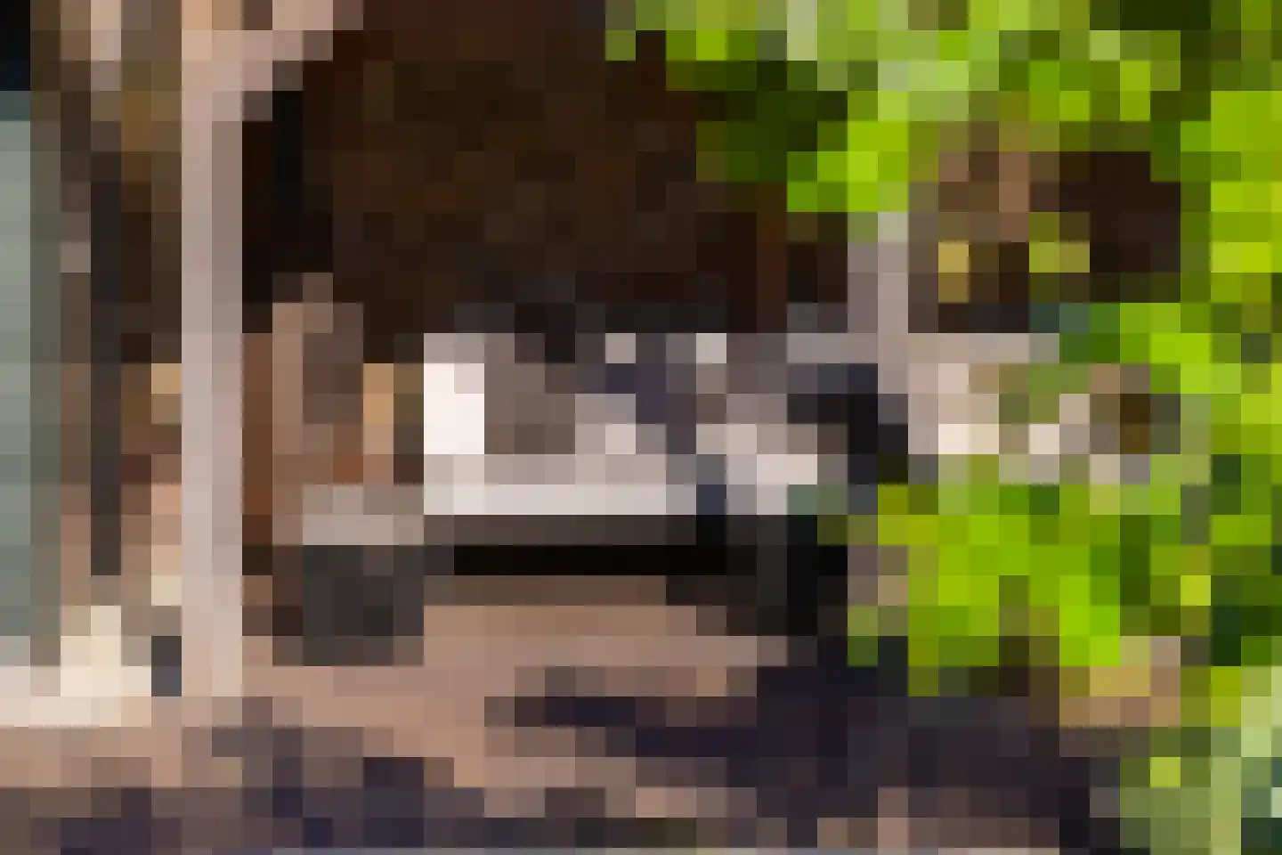 Molenstraat 58 Den Burg thumbnail 34