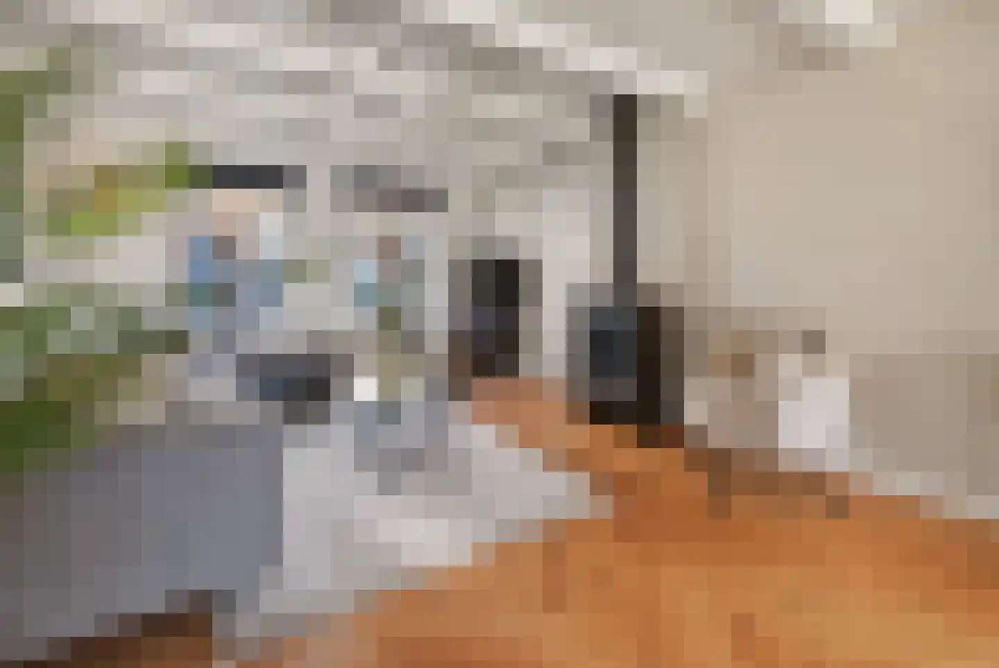 Molenstraat 58 Den Burg thumbnail 4