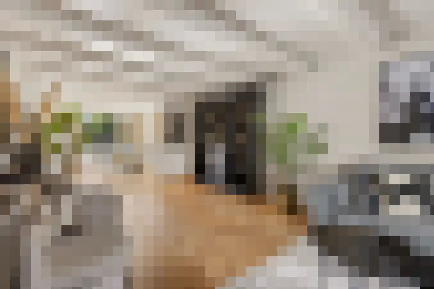 Molenstraat 58 Den Burg thumbnail 7