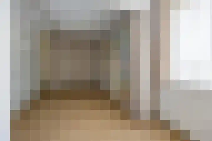 Molenstraat 58 Winssen thumbnail 16