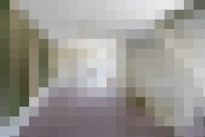 Molenstraat 58 Winssen thumbnail 25