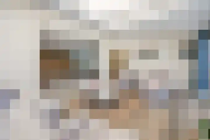 Molenstraat 58 Winssen thumbnail 56