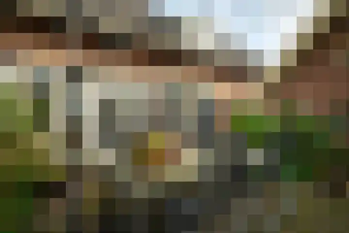 Molenstraat 59 Delden thumbnail 34
