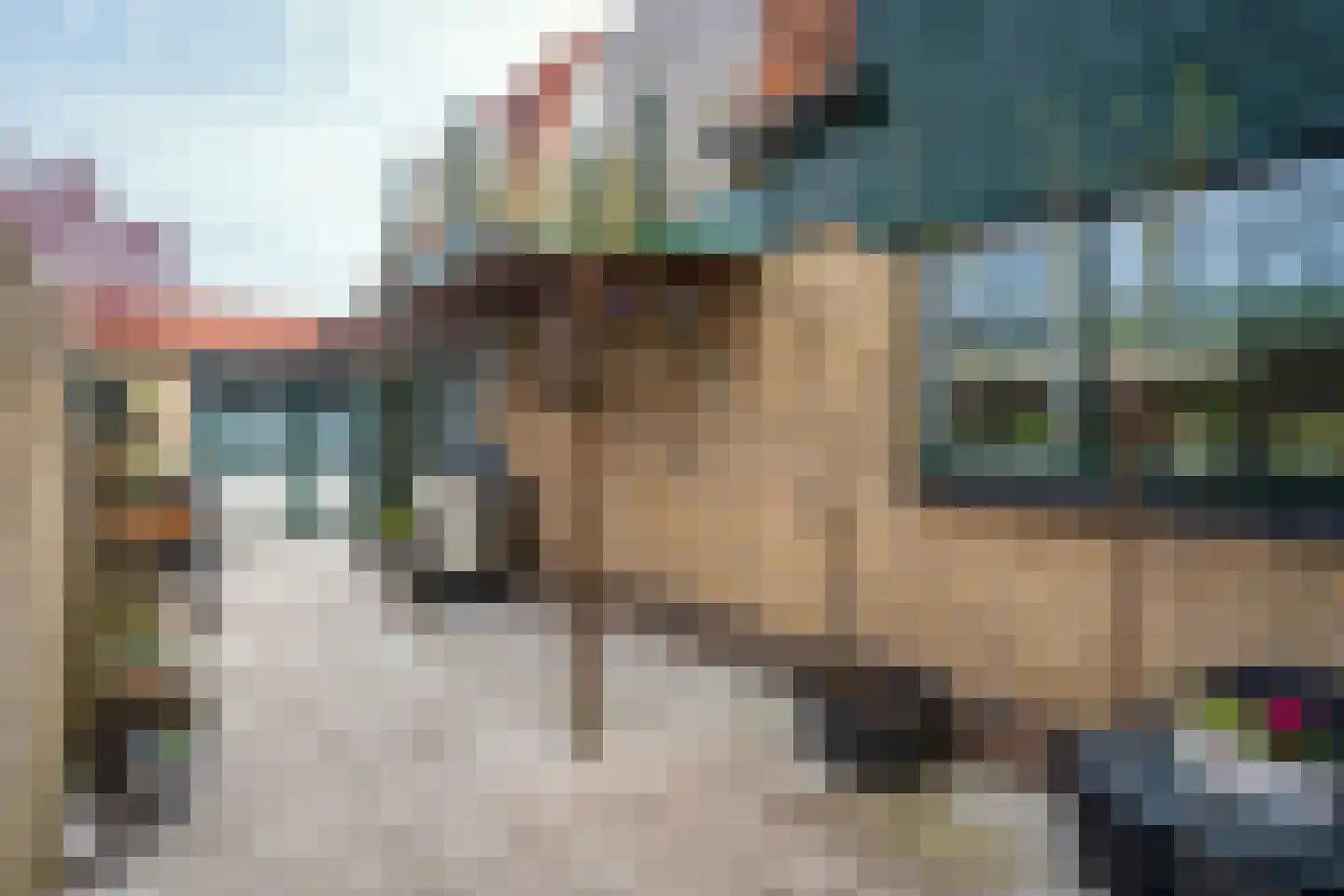 Molenstraat 59 Den Burg thumbnail 5