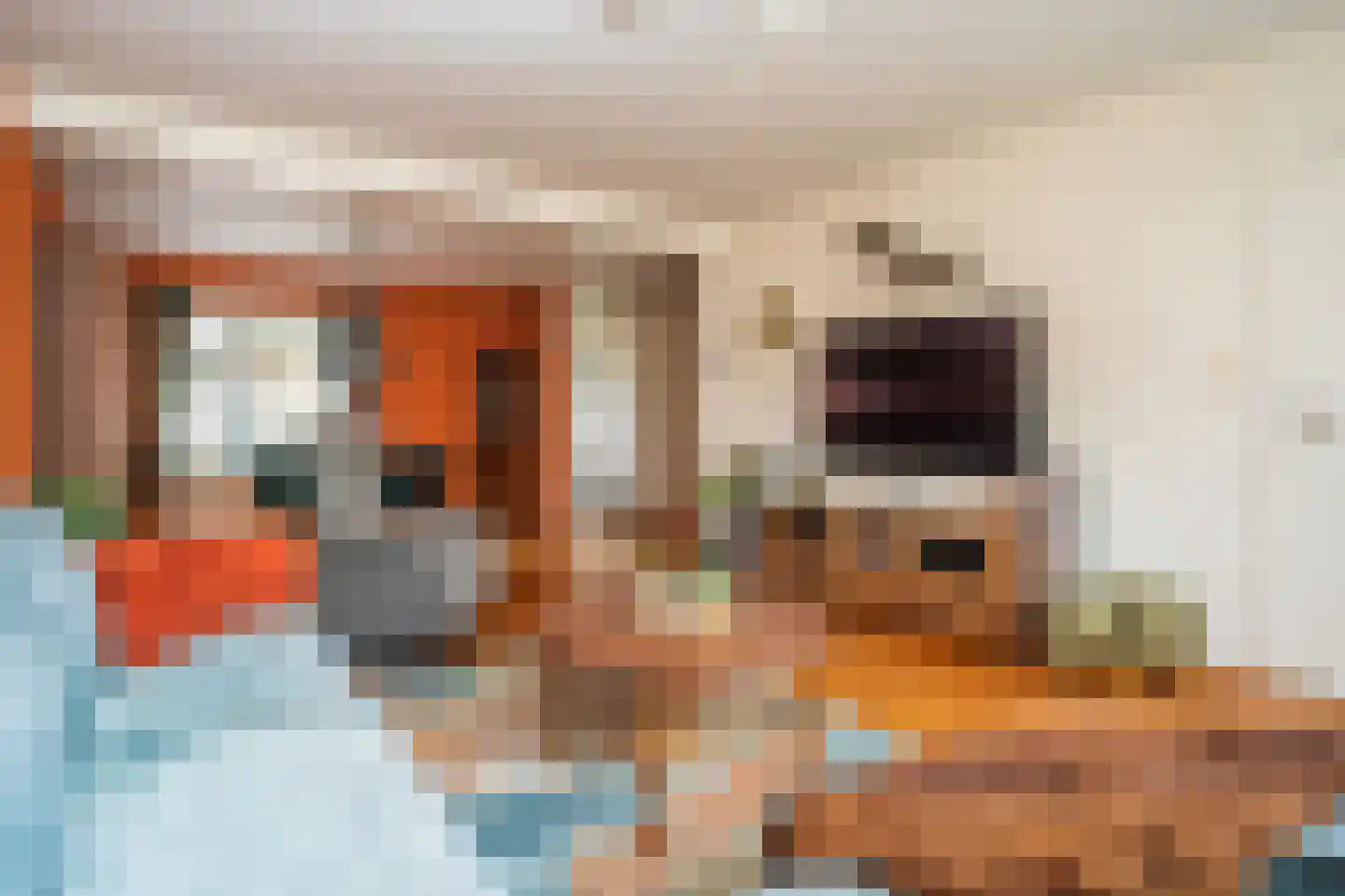 Molenstraat 59 Den Burg thumbnail 7