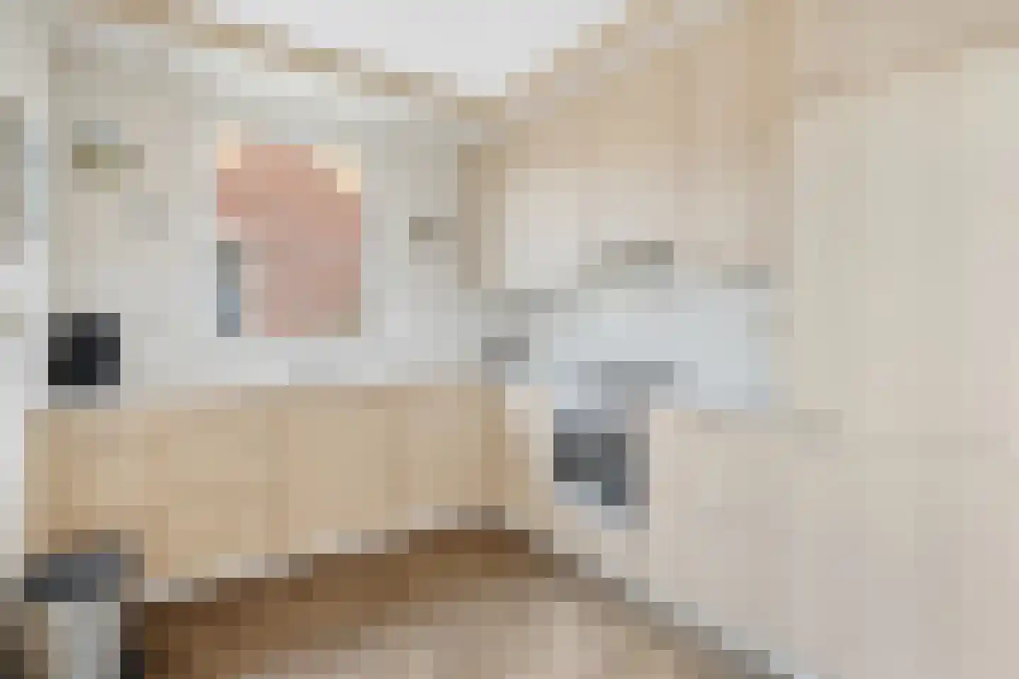 Molenstraat 59 Mill thumbnail 10