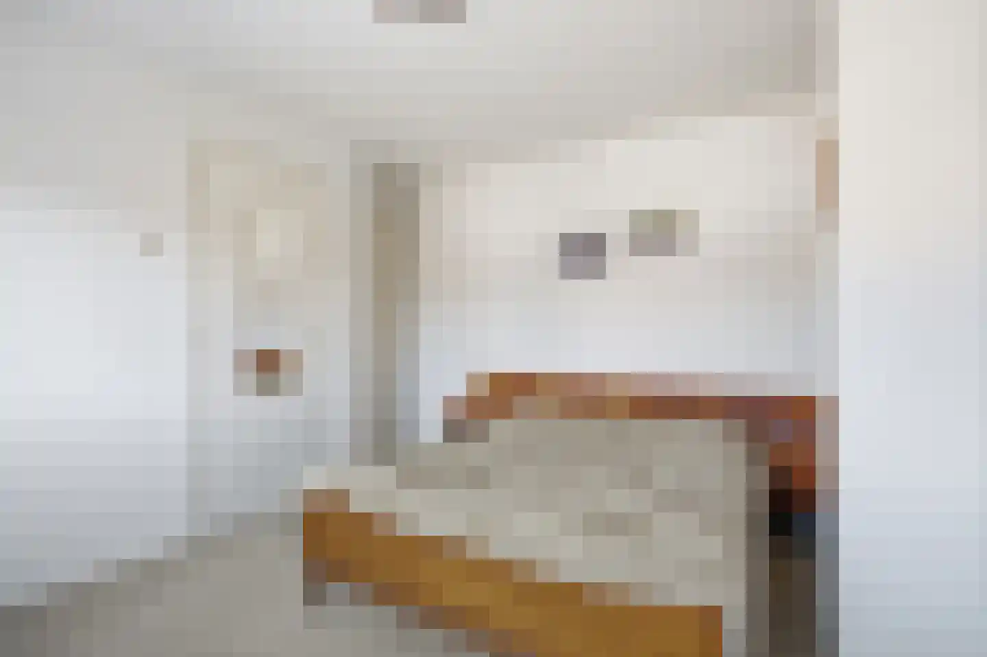 Molenstraat 59 Mill thumbnail 17