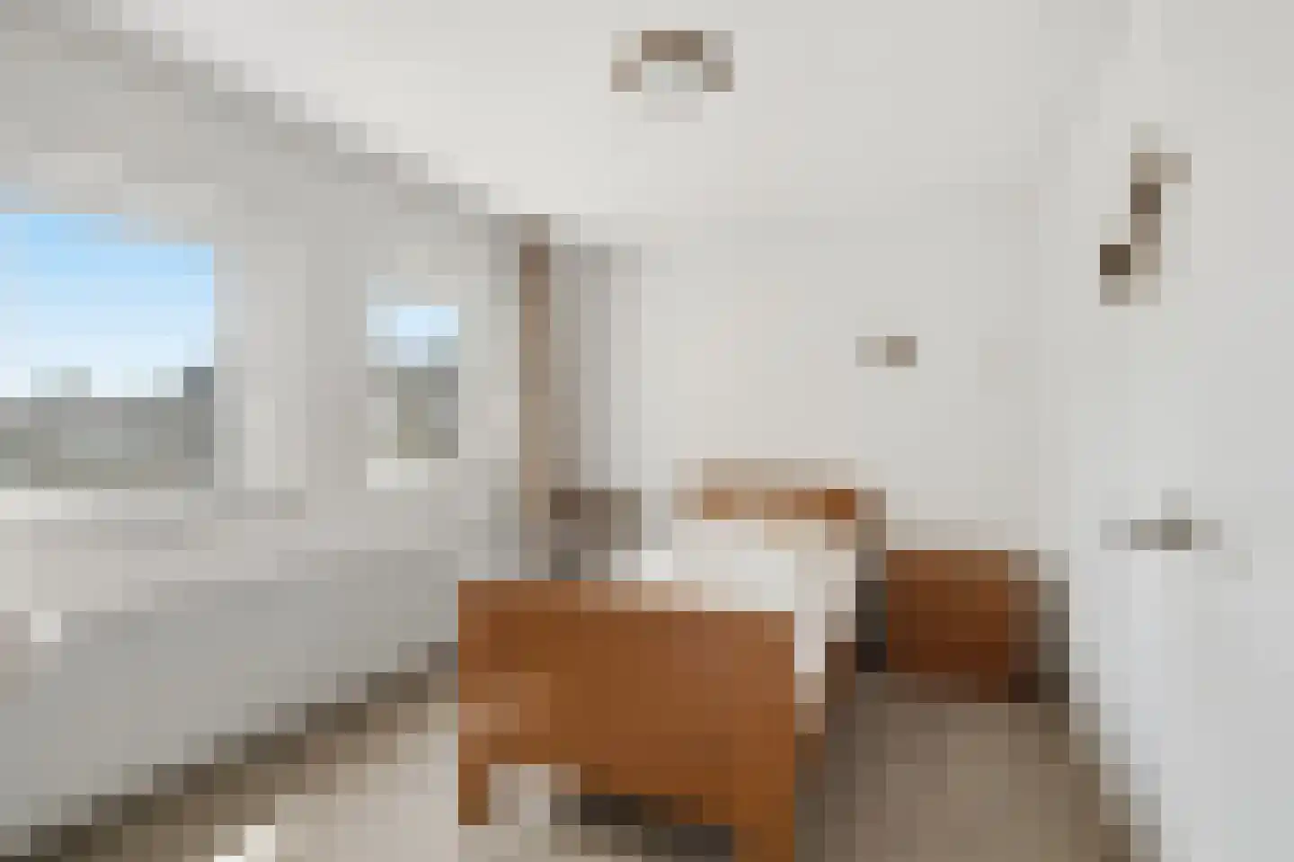 Molenstraat 59 Mill thumbnail 21