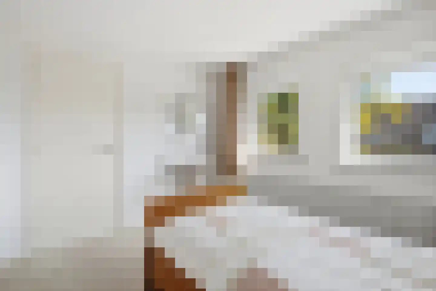 Molenstraat 59 Mill thumbnail 22