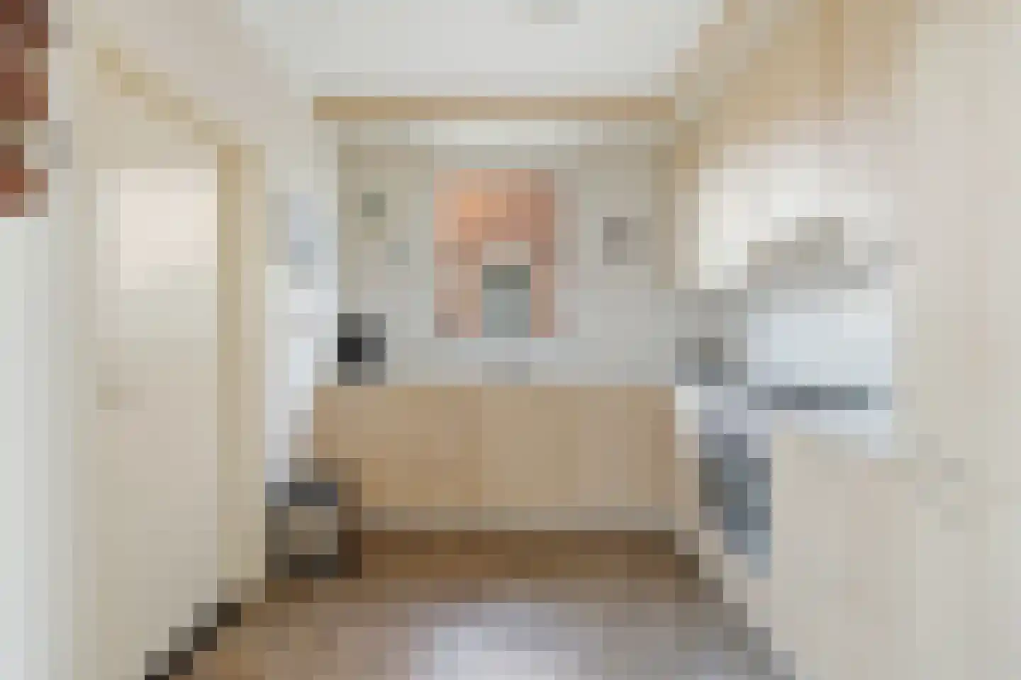 Molenstraat 59 Mill thumbnail 9