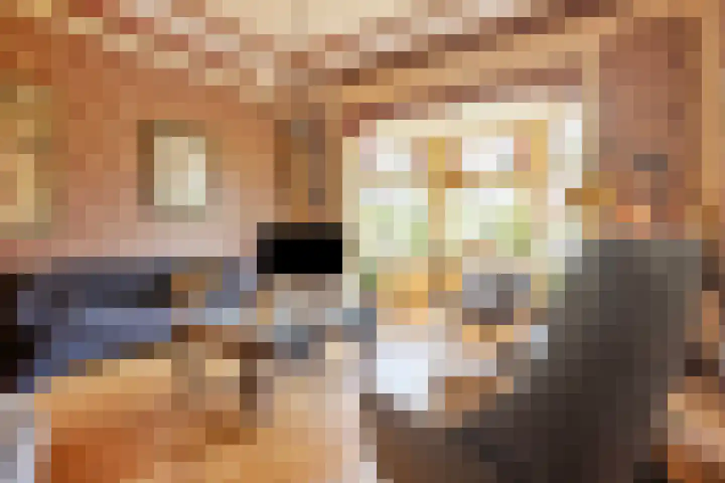 Molenstraat 59 Oss thumbnail 15
