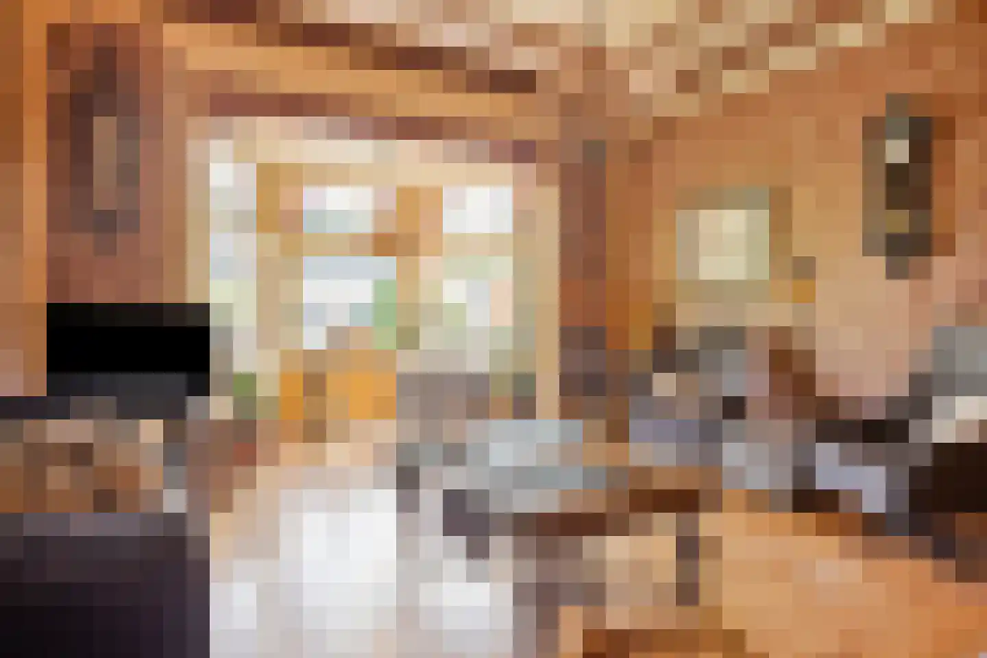 Molenstraat 59 Oss thumbnail 16