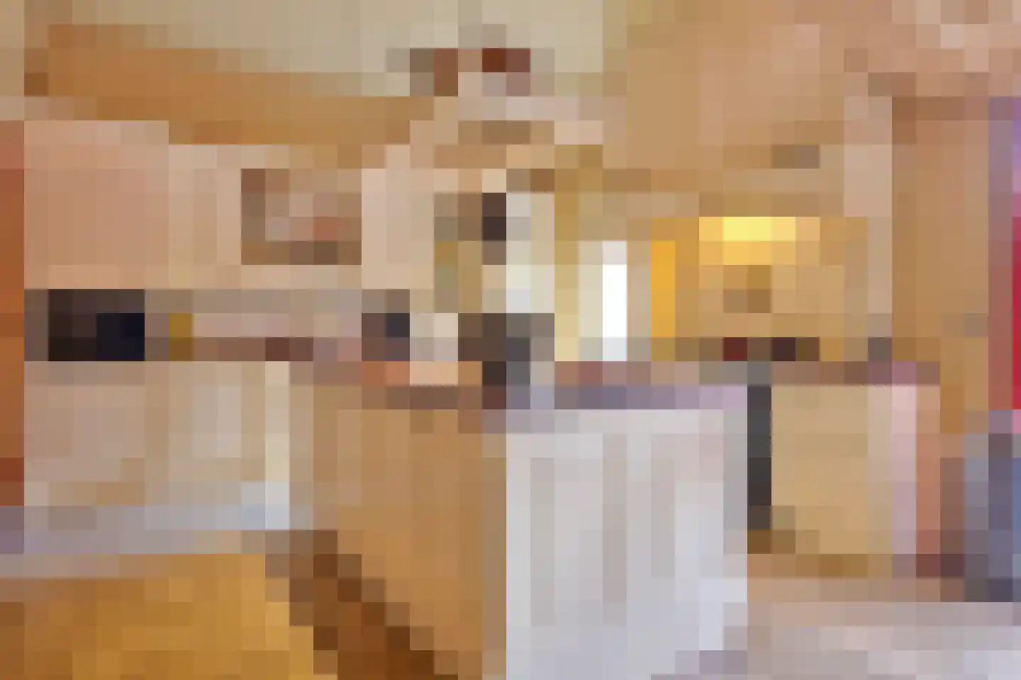 Molenstraat 59 Oss thumbnail 26
