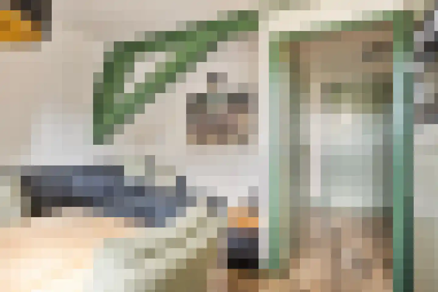 Molenstraat 59 Oss thumbnail 47