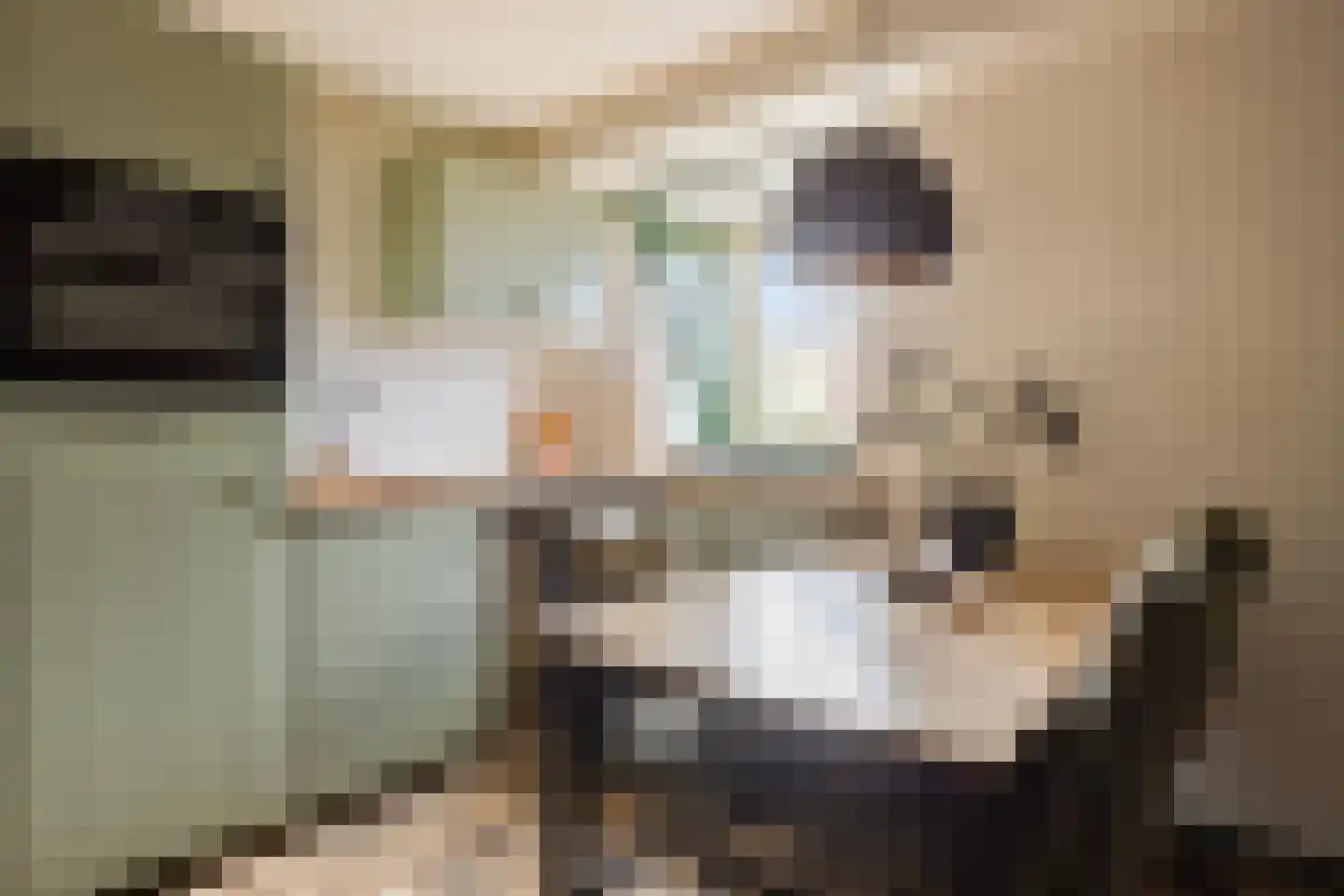 Molenstraat 59 Oss thumbnail 48