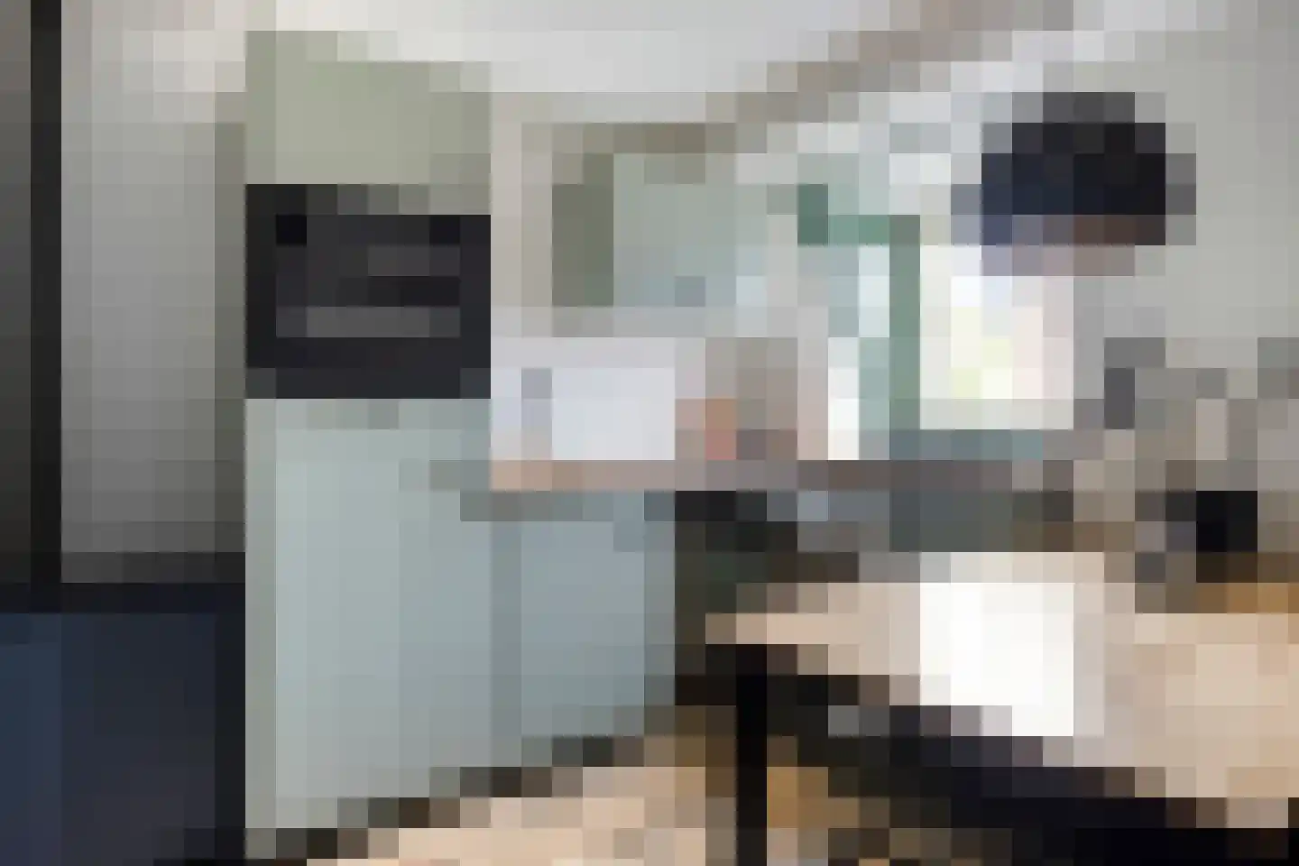 Molenstraat 59 Oss thumbnail 50