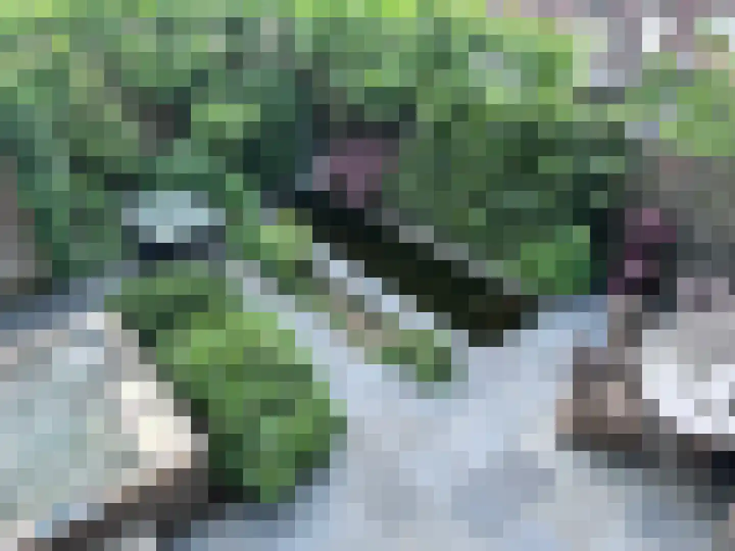 Molenstraat 59 Oss thumbnail 55