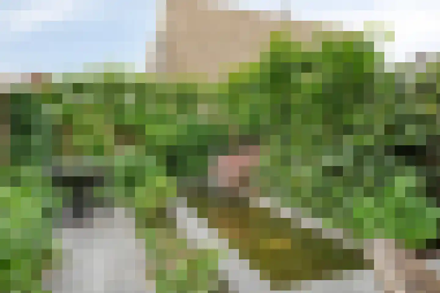 Molenstraat 59 Oss thumbnail 59