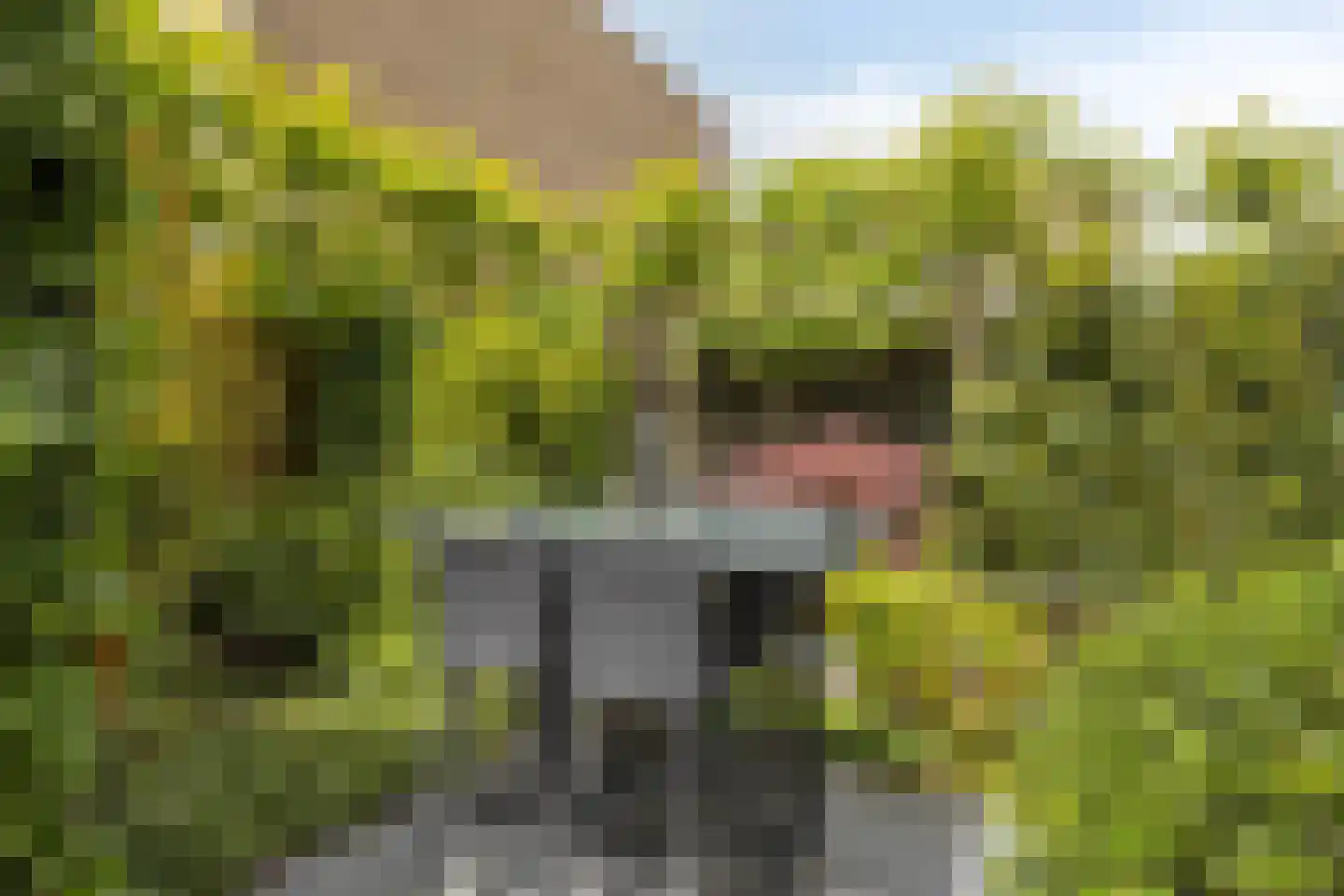Molenstraat 59 Oss thumbnail 62
