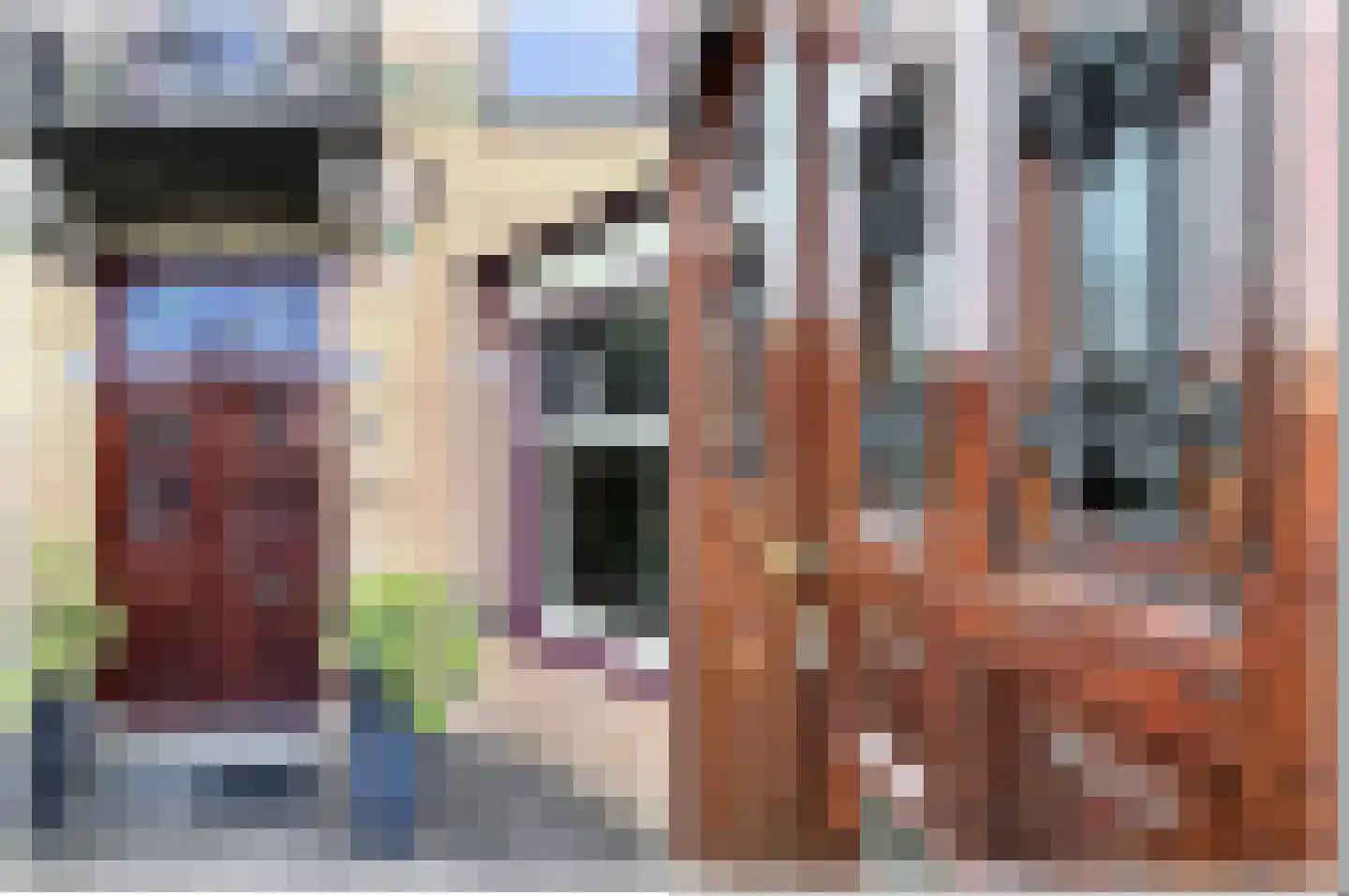 Molenstraat 59 Oss thumbnail 8