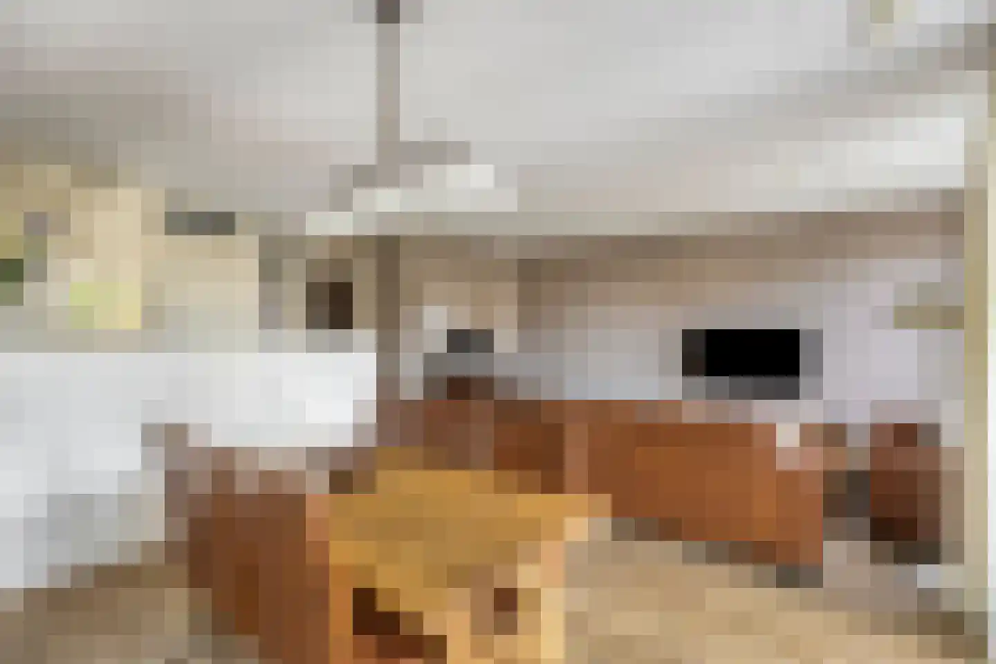 Molenstraat 6 A 5 Helden thumbnail 14