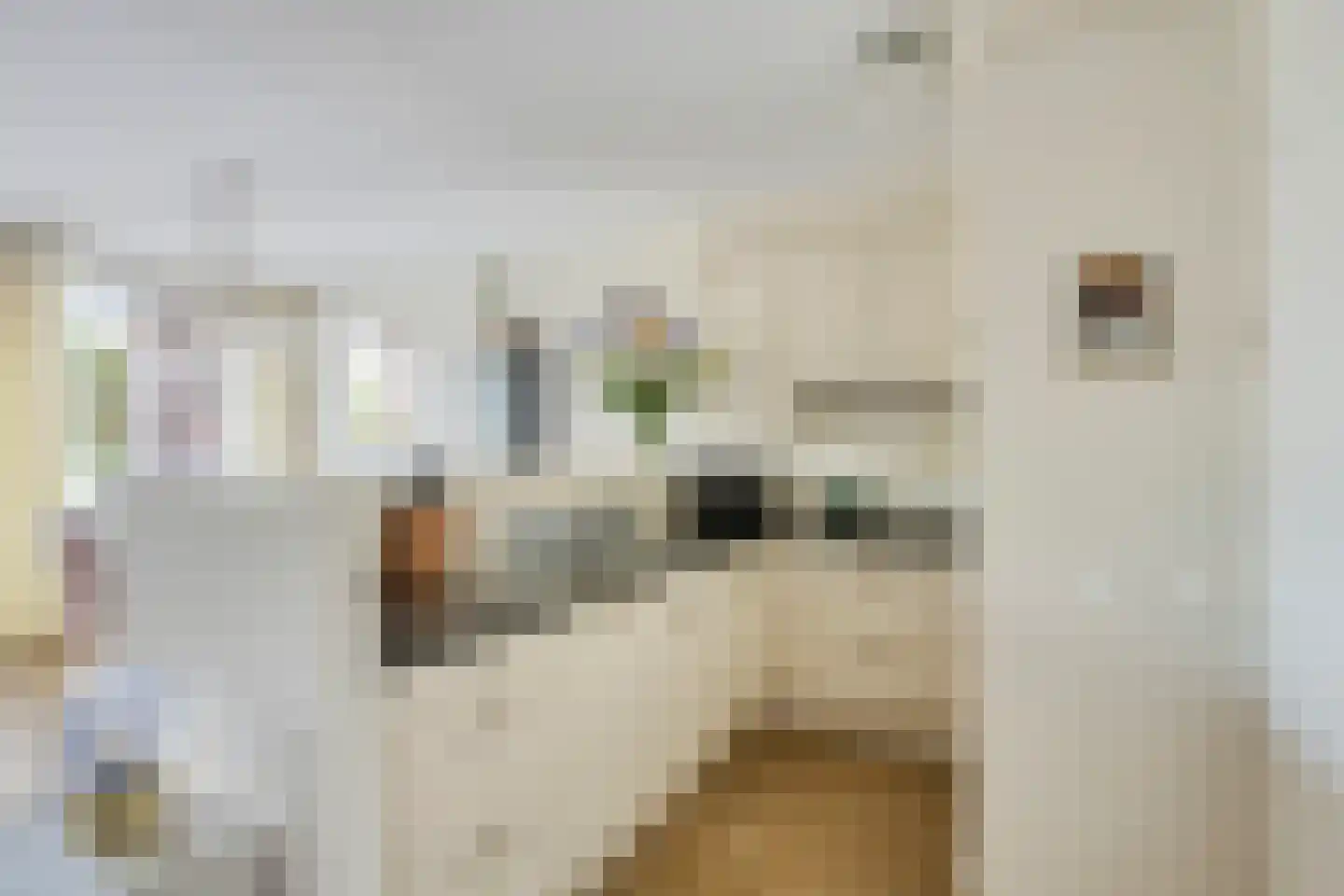 Molenstraat 6 A 5 Helden thumbnail 15