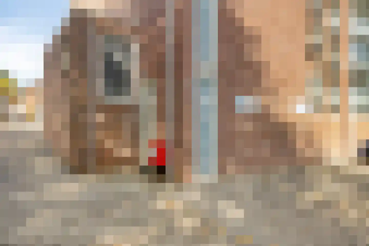 Molenstraat 6 A 5 Helden thumbnail 35