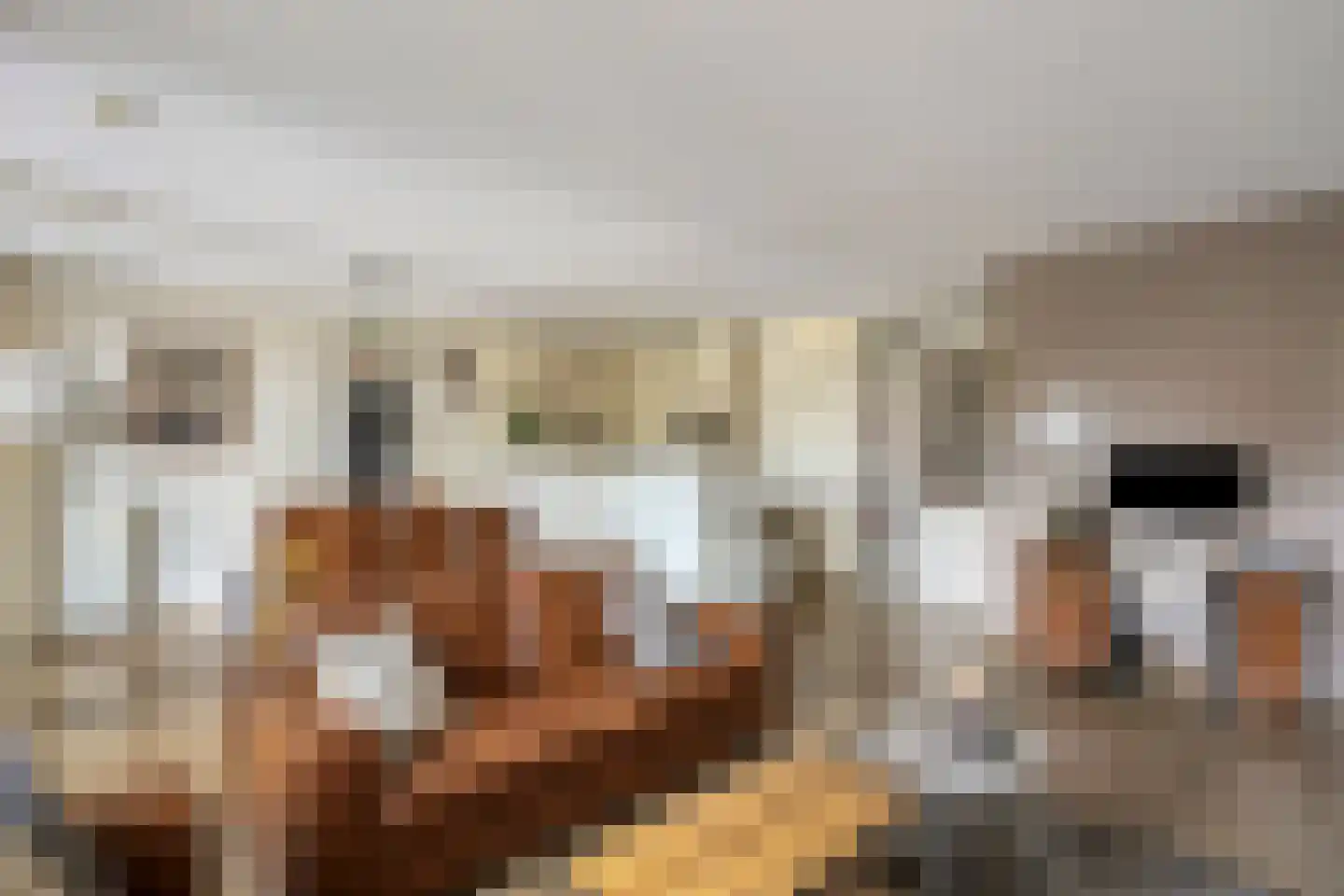 Molenstraat 6 A 5 Helden thumbnail 6