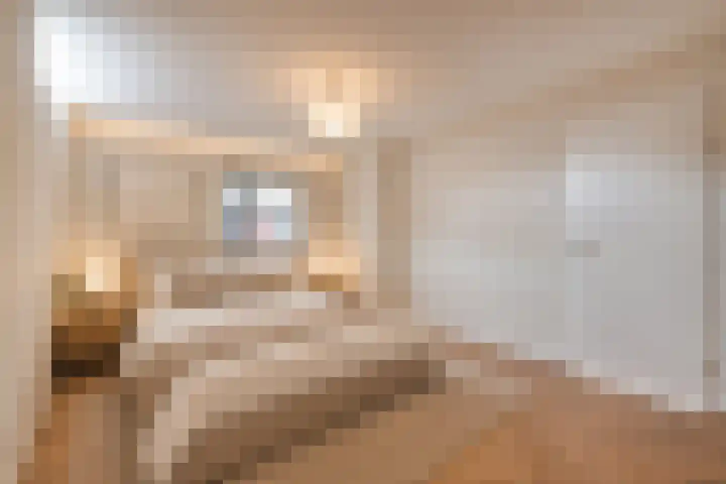 Molenstraat 6 Amerongen thumbnail 8