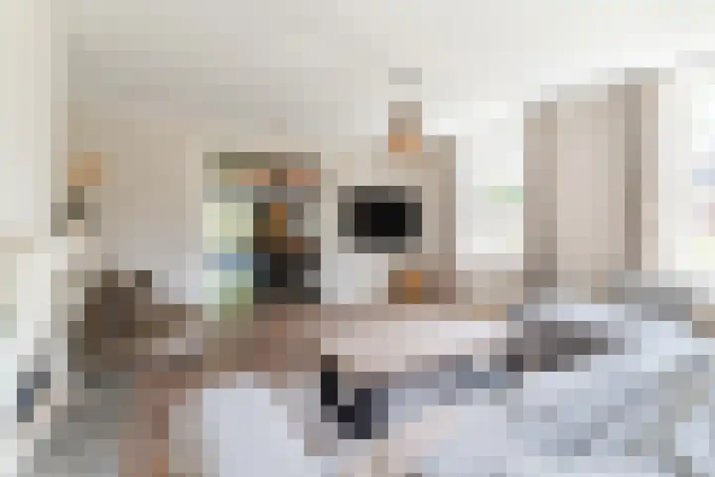 Molenstraat 6 Boekel thumbnail 13