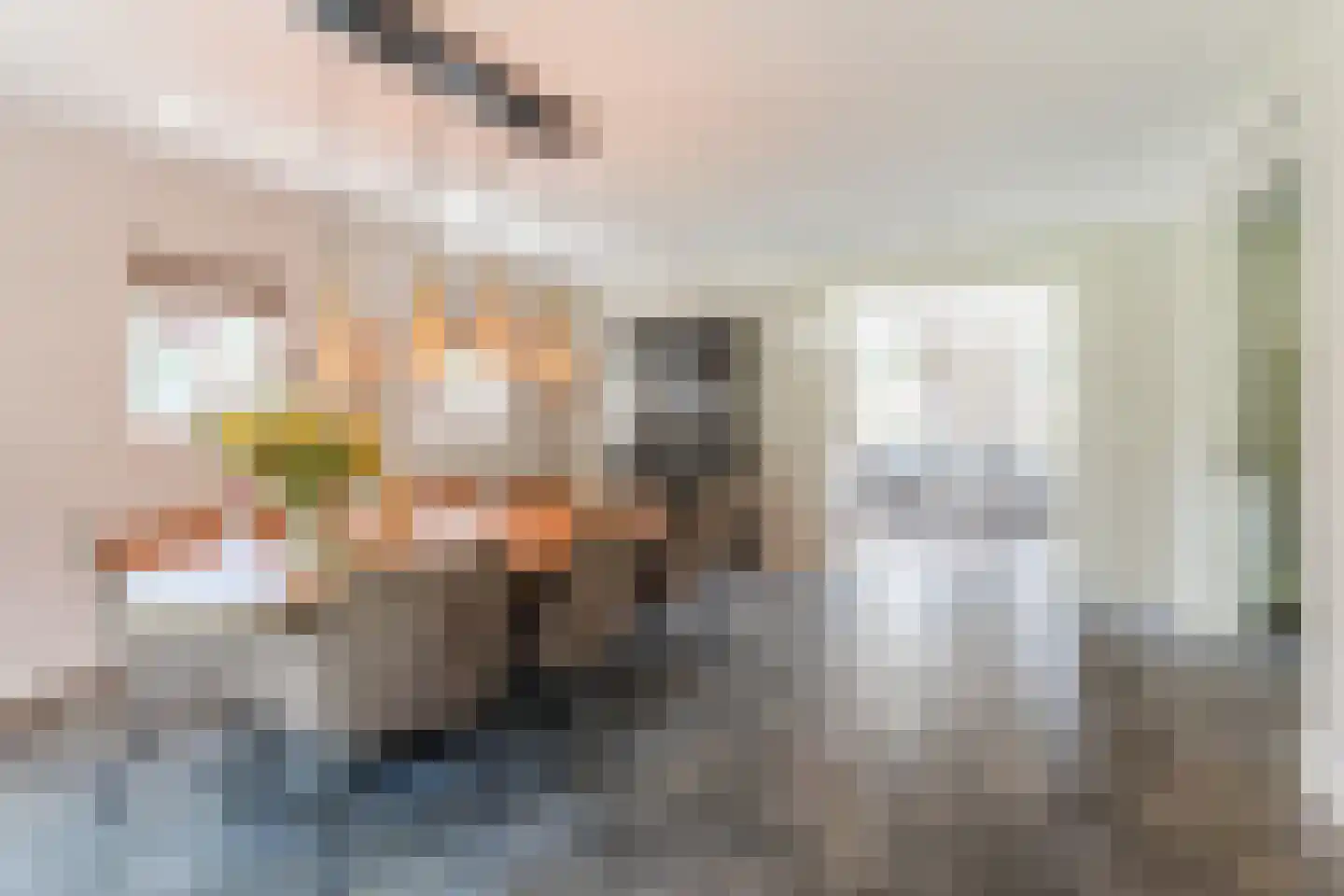 Molenstraat 6 Boekel thumbnail 15