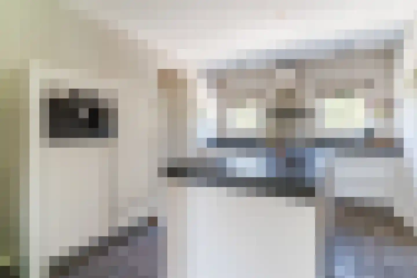 Molenstraat 6 Boekel thumbnail 16