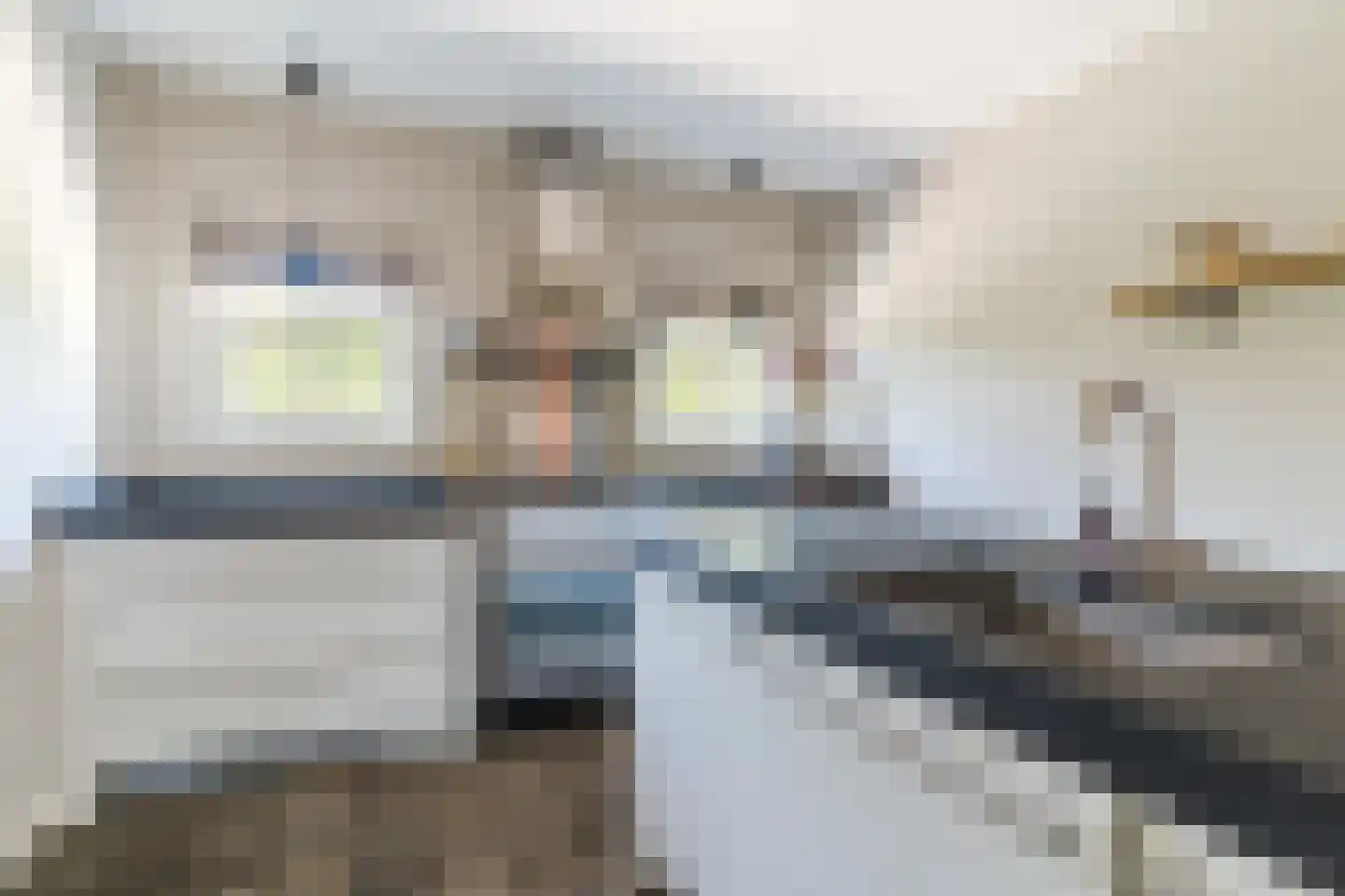 Molenstraat 6 Boekel thumbnail 17